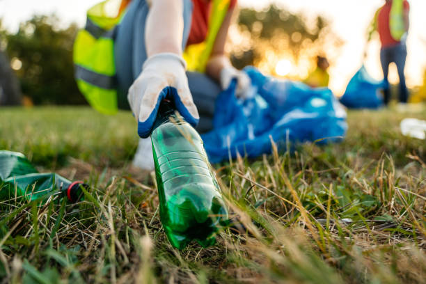 Best Yard Waste Removal  in Morrice, MI